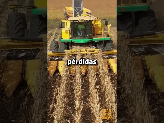 Oxbo 8840 La Máquina Que Aumenta Tus Cosechas