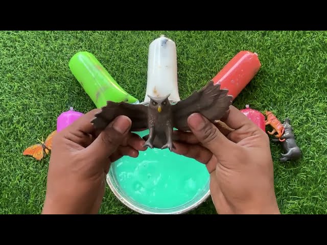 FIND: Cow, Sheep, T-Rex, Lion, Tiger, Bird, Bear, Chicken, Cat, Dog, Duck, Inside colorful plastic.