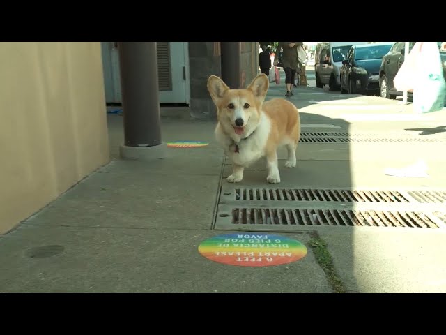 Experience the magic of SFPL To Go