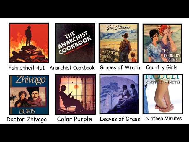 Every BANNED Book Explained in 20 Minutes
