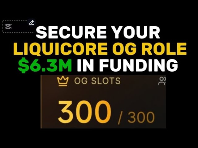 Start LIQUICORE Testnet + How to get the OG Role (A STEP BY STEP GUIDE)