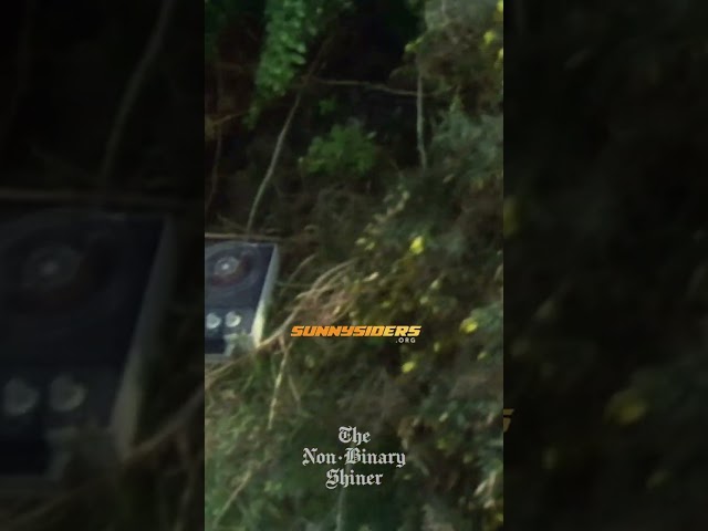 A Man And a Woman are Reading Books | Monty Python's Flying Circus #montypython #flyingcircus