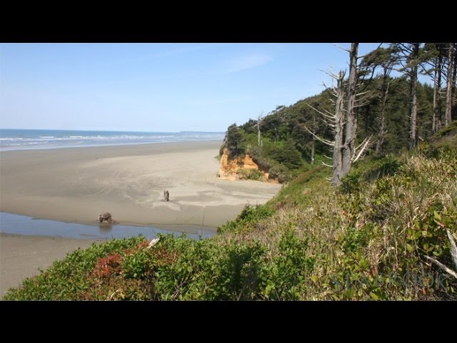 Finding The Property - Seabrook Town Tour