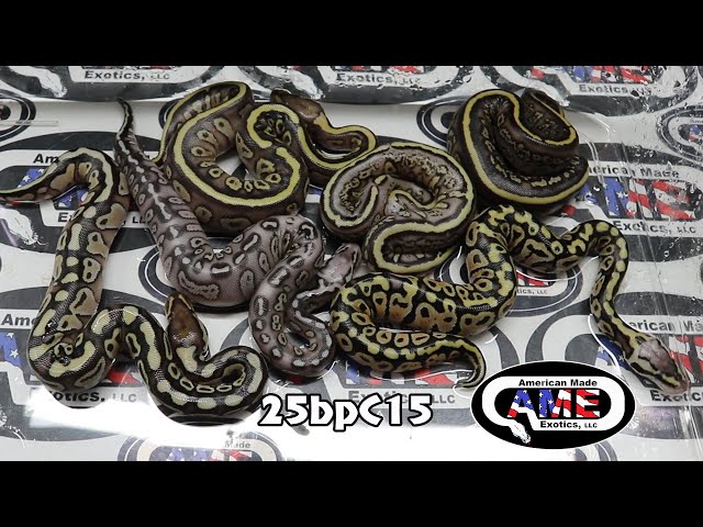 25bpC15 fm Firefly  x m Clown Stranger Lesser
