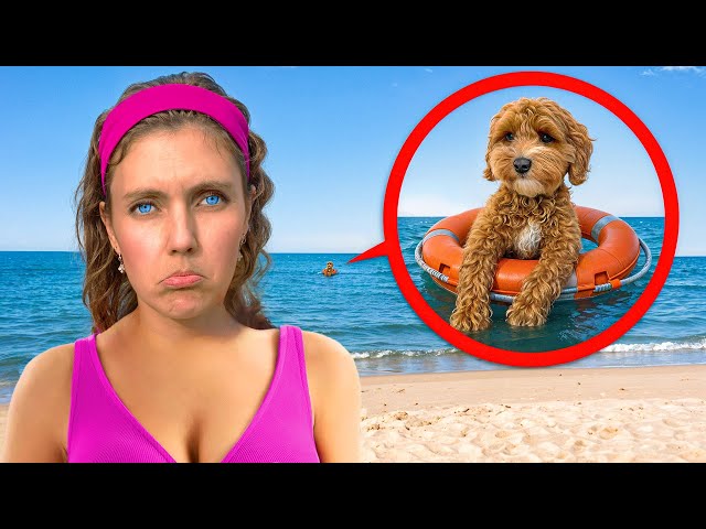 My DOG is MISSING at the BEACH