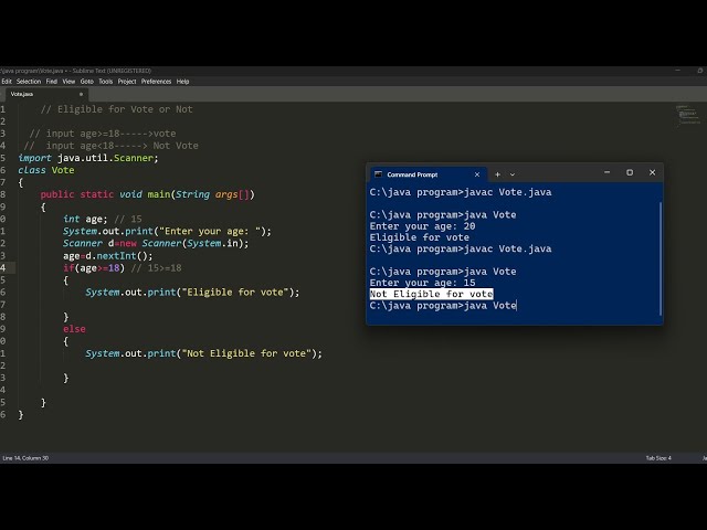 java program to check voting eligibility | java programming