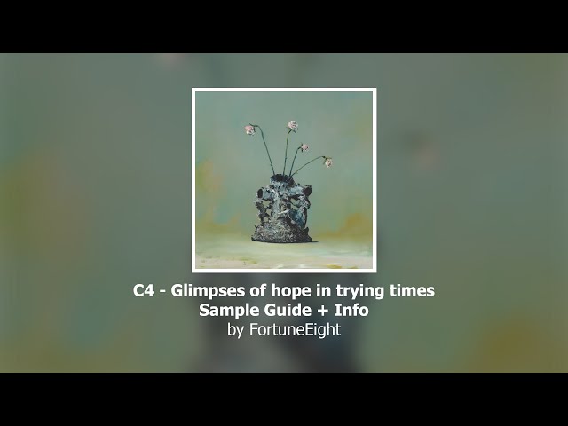 C4 - Glimpses of hope in trying times - Sample Guide + Info