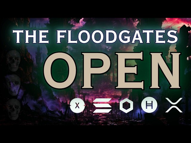 The Floodgates Are Open: Schwab, Nasdaq, Ripple, Chainlink, Solana, Hedera, XDC.