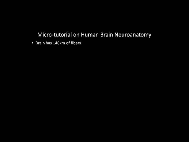 Tutorial Brain Competition ICDM 2009 Part 1 of 3