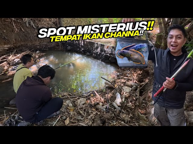 FIRST TIME CHANNA FISHING, FOUND A MYSTERIOUS SPOT, CAUGHT A LOT OF FISH