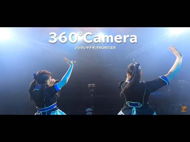 【360°Camera】シダレヤナギ / FRONTIER（NMB48）