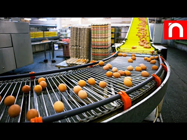 Food Industry Machines & Production Processes That Are At Next Level ▶ 1