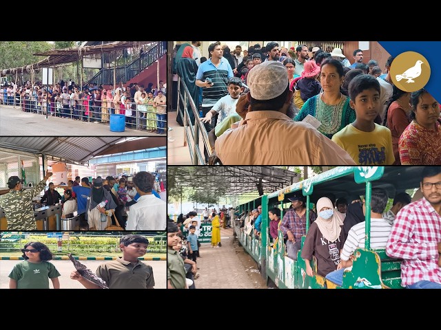 Hyderabad Zoo Park sees rush on Dasara holiday