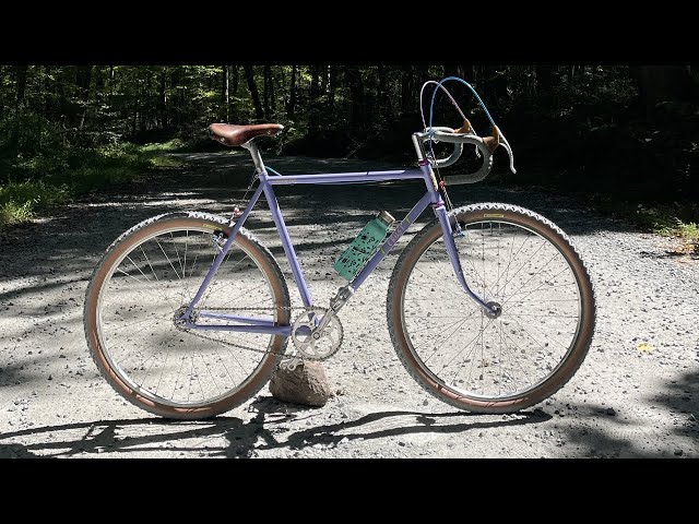 Single Speed Lightning Bolt Bike Check