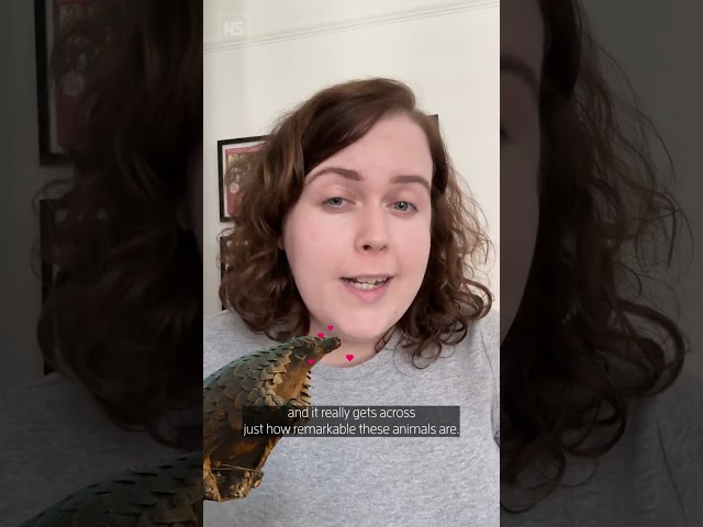 This science documentary is scarier than any horror film you'll see 📺️😱