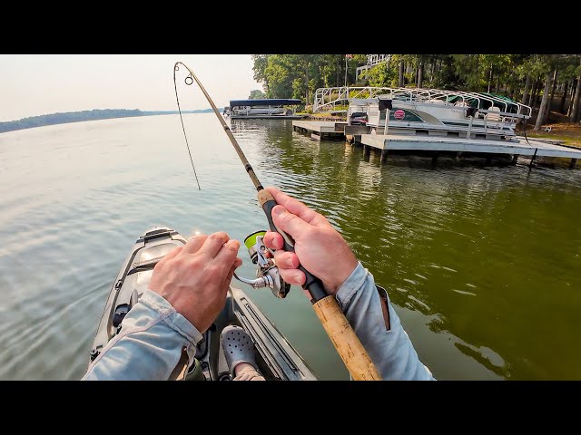 Dropshot Fishing Docks for BIG Summer Shellcracker (Redear Sunfish)