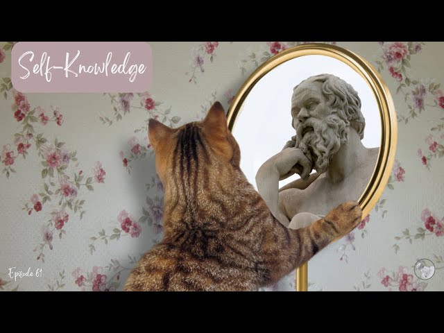 Self-Knowledge