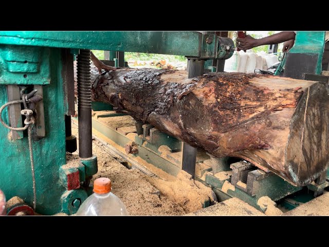 Wood Cutting Technology | Heavy Timber Processing 45