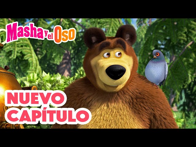 Masha y el Oso 💥 Nuevo capítulo 🌿🏡 Felizmente Emplumada 🎬 Сolección