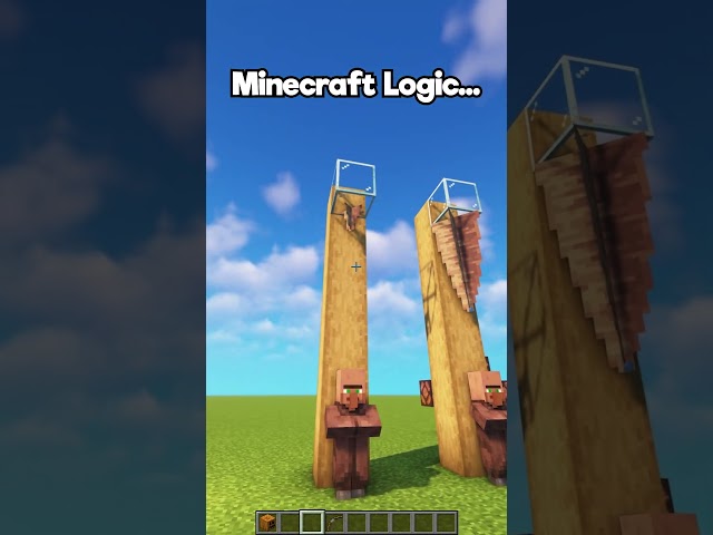 Minecraft Logic🤔 (World's Smallest Violin) #minecraft #shorts