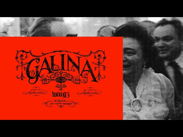 WINGZ - GALINA (Official Visualizer)