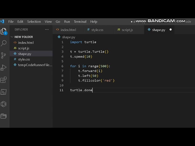 Pattern programming using python for beginners #programming #coding #video #new #skills #learn