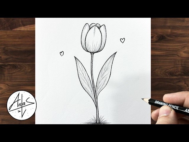 How to Draw a Tulip Flower🌷 | Easy Pencil Drawing Tutorial for Beginners