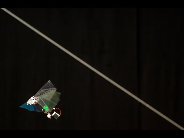 DelFly Nimble - an agile insect-inspired robot