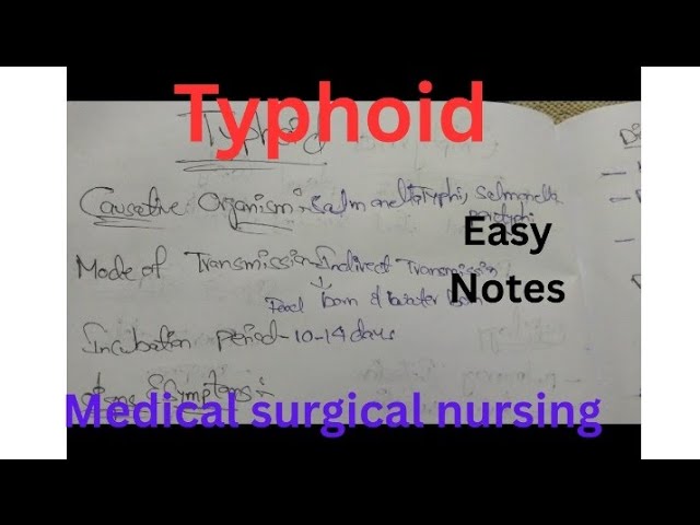 Notes on typhoid in medical surgical nursing #trending#viral#typhoidfever 