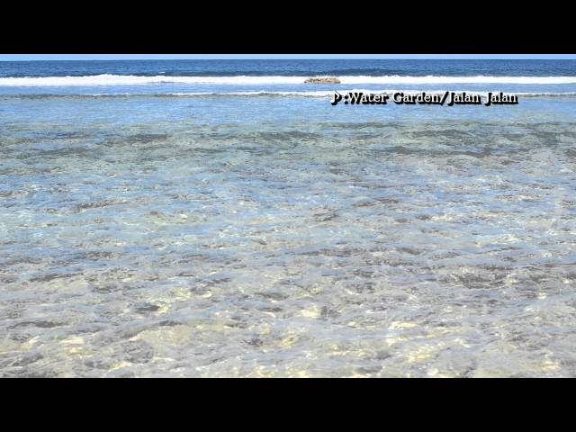 Water Garden - Jalan Jalan