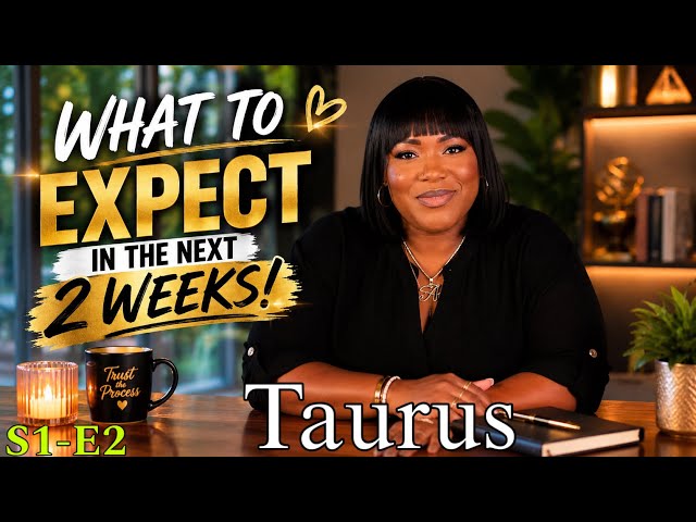 TAURUS ♉︎ What To Expect In The Next 2 Weeks! | Timeless Reading | S1-E2