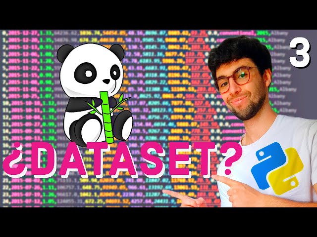 ✅What is a DATASET in Python? - Python Pandas Course from scratch