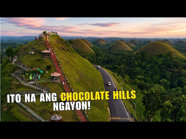 Panglao Beach to Chocolate Hills Bohol Ride | Man Made Forest | Balicasag Island (Ep. II)