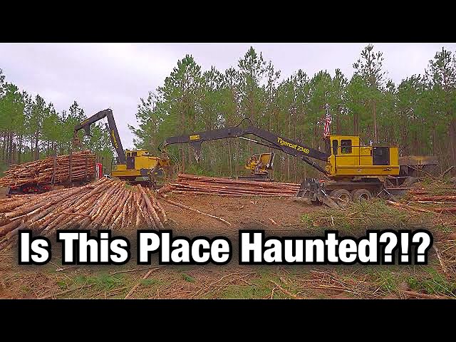 Starting A Second Thin That May Be Haunted