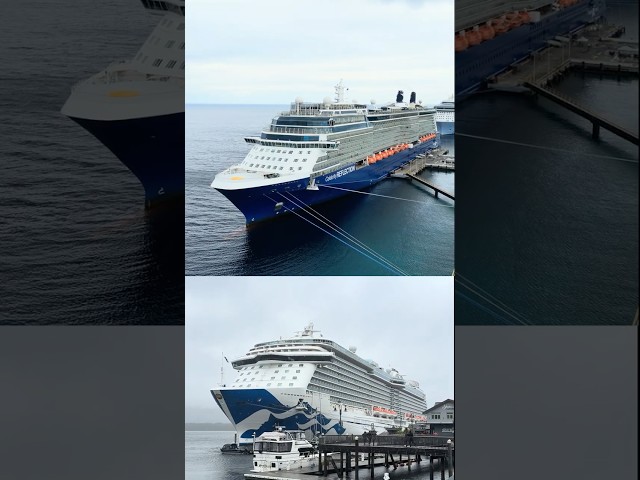 Princess Cruises vs. Celebrity Cruises #CruiseReview #celebrity #princess