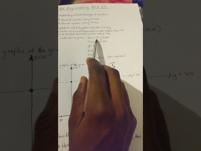 Linear Programming NCV L3 Explained