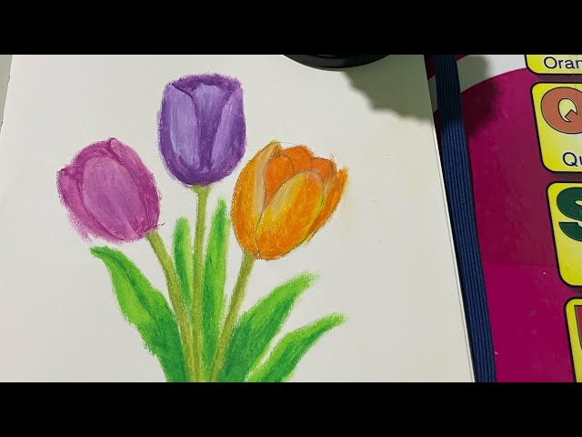 How to Draw Realistic Tulips with Colored Pencils | Step-by-Step for Beginners
