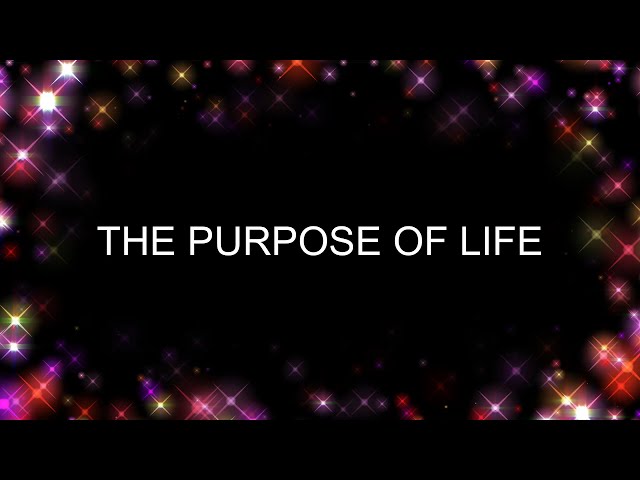 THE PURPOSE OF LIFE EXPLAINED IN 2 MINUTES
