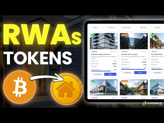 Real World Assets (RWA) Explained | How to Build a Real World Asset Tokenization Platform