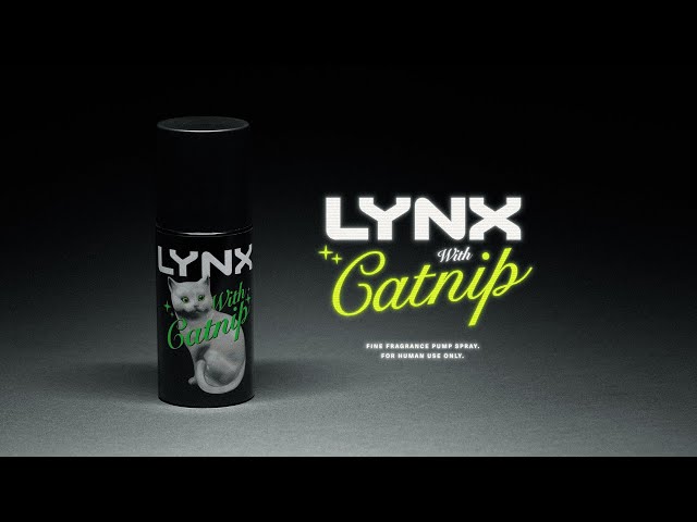 LYNX WITH CATNIP | CASE