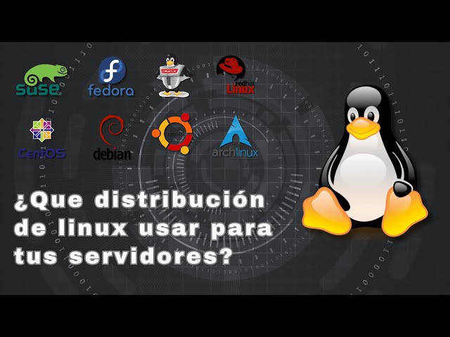 Que distribución Linux usar para servidores