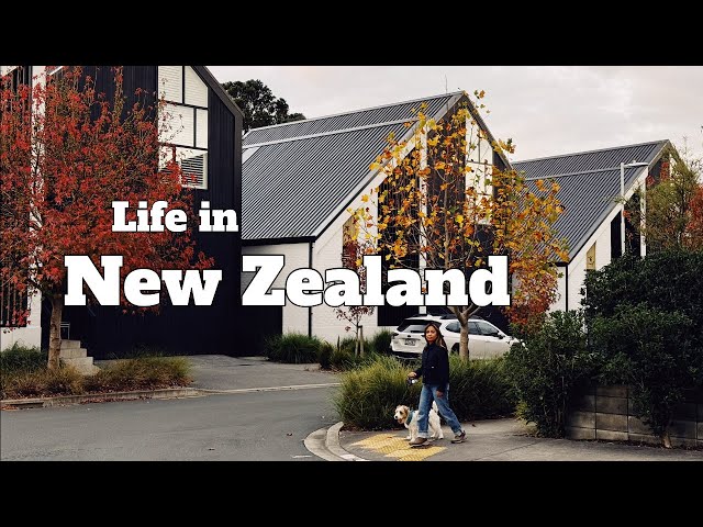 Life in Auckland New Zealand | realistic slow living | romanticising life vlog