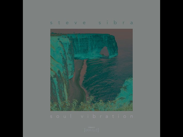 Steve Sibra -- Deviant