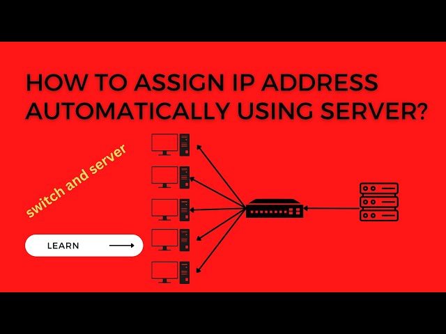 how to assign ip address automatically using server? server and switch #codeBro