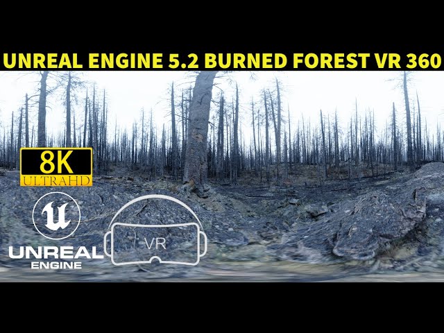 Unreal Engine 5.2 Burned Forest VR 360