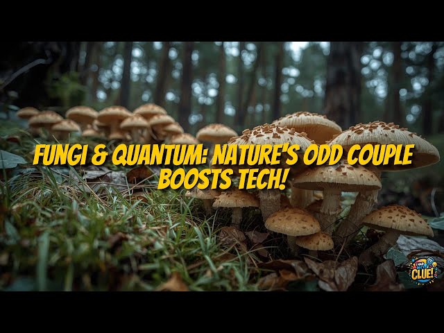 Quantum Computing's Unexpected Ally: Mycorrhizal Networks