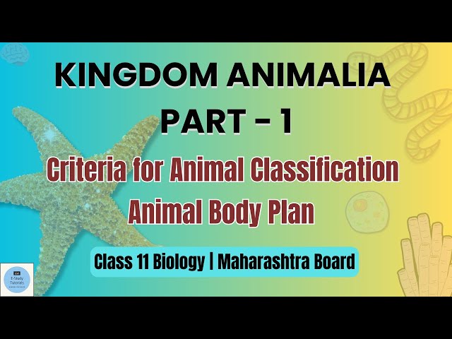 Kingdom Animalia  | Class 11th | Maharashtra Board | Biology | chapter 4 | E-Study Tutorials
