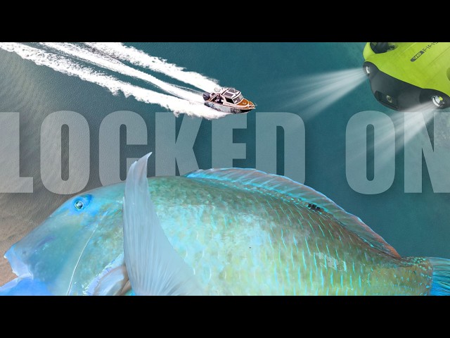 THESE FISH HIT LIKE A TRUCK | Bluebone Hunt