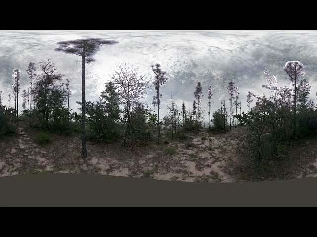 Eglin - Terrestrial Lidar - Pre Burn