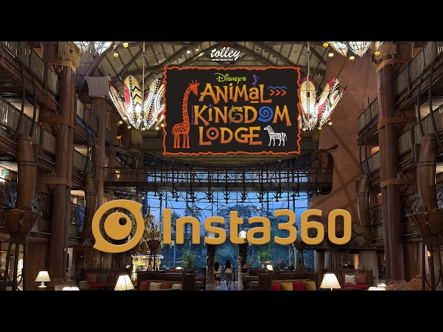 360° Disney's Animal Kingdom Lodge- Lobby and Savanna Viewing Area September 2025, Walt Disney World